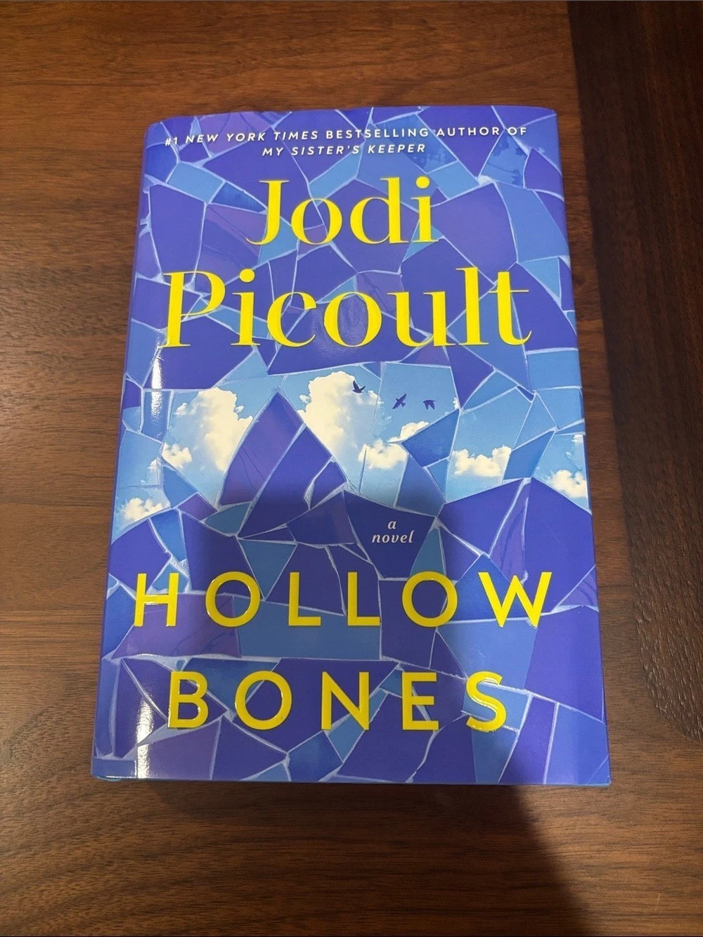 📘Jodi Picoult- Hollow Bones Hardcover Novel Like New